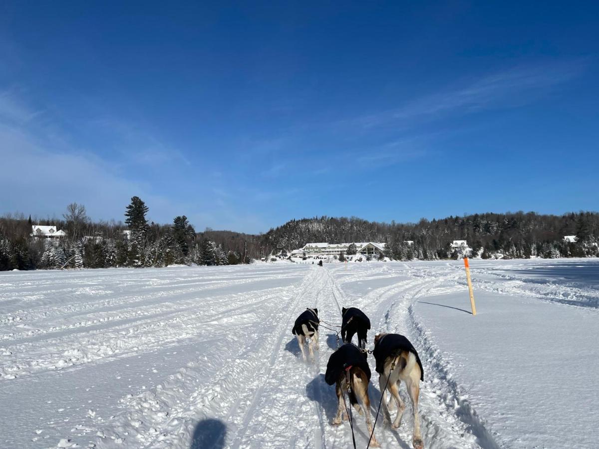 Pourvoirie Du Lac Blanc Saint-Alexis-des-Monts Eksteriør billede